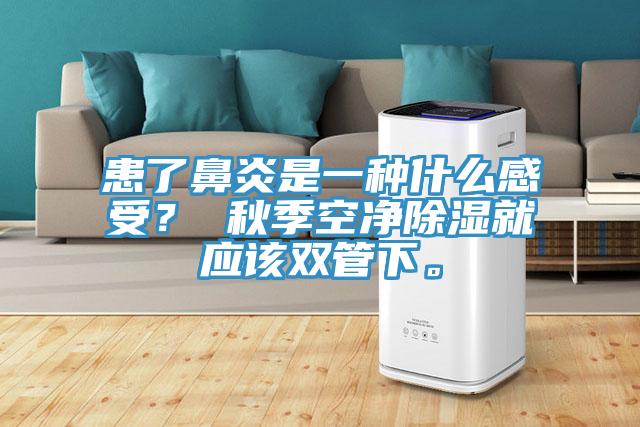 患了鼻炎是一種什麽感受？ 秋季空淨除濕就應該雙管下。