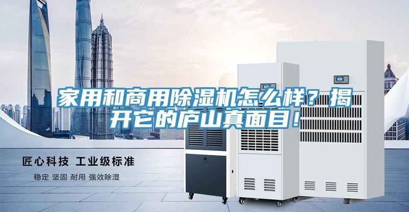 家用和商用91看片软件大全怎麽樣？揭開它的廬山真麵目！