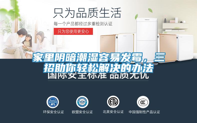 家裏陰暗潮濕容易發黴，三招助你輕鬆解決的辦法
