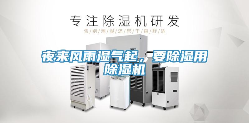 夜來風雨濕氣起，要除濕用91看片软件大全