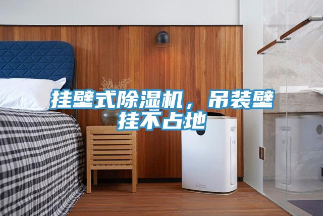 掛壁式91看片软件大全，吊裝壁掛不占地