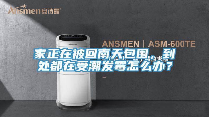 家正在被回南天包圍，到處都在受潮發黴怎麽辦？