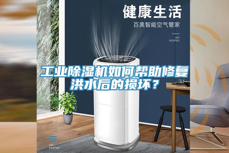 工業91看片软件大全如何幫助修複洪水後的損壞？