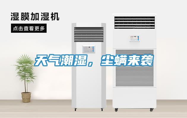 天氣潮濕，塵蟎來襲