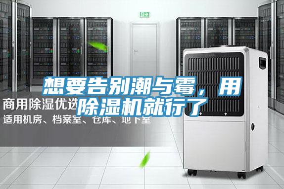 想要告別潮與黴，用91看片软件大全就行了