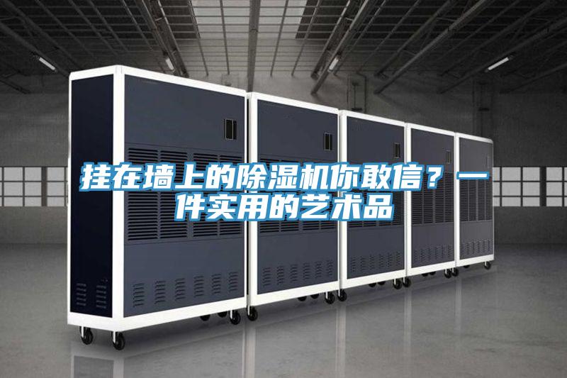 掛在牆上的91看片软件大全你敢信？一件實用的藝術品
