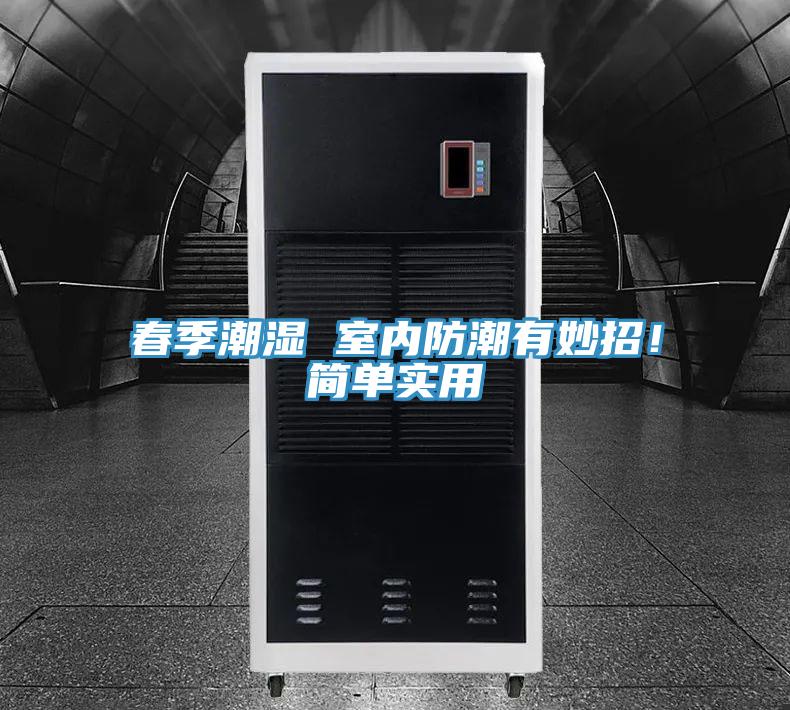 春季潮濕 室內防潮有妙招！簡單實用