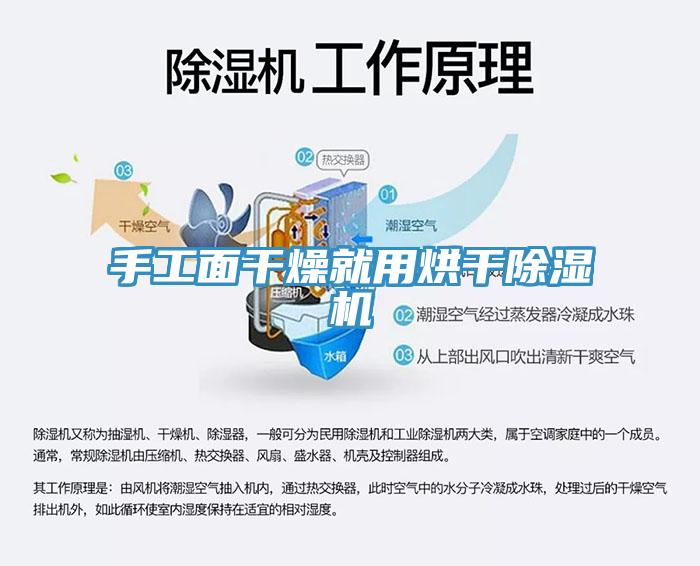 手工麵幹燥就用烘幹91看片软件大全