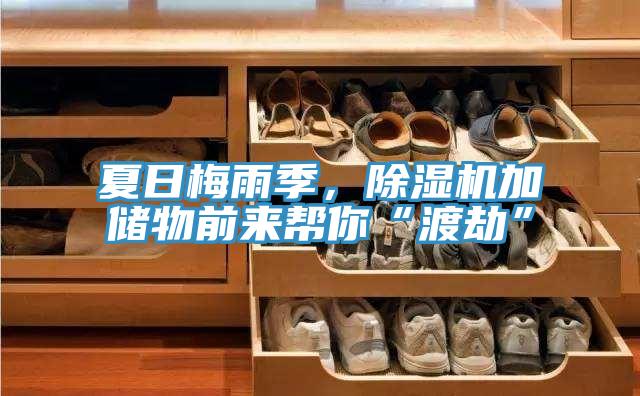 夏日梅雨季，91看片软件大全加儲物前來幫你“渡劫”