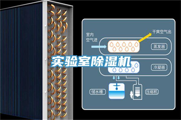實驗室91看片软件大全