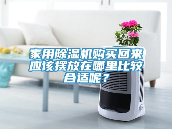 家用91看片软件大全購買回來應該擺放在哪裏比較合適呢？