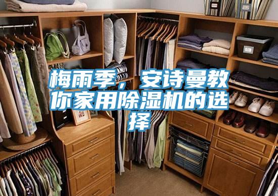 梅雨季，91AV手机看片教你家用91看片软件大全的選擇