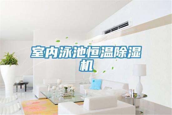 室內泳池恒溫91看片软件大全