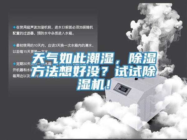 天氣如此潮濕，除濕方法想好沒？試試91看片软件大全！