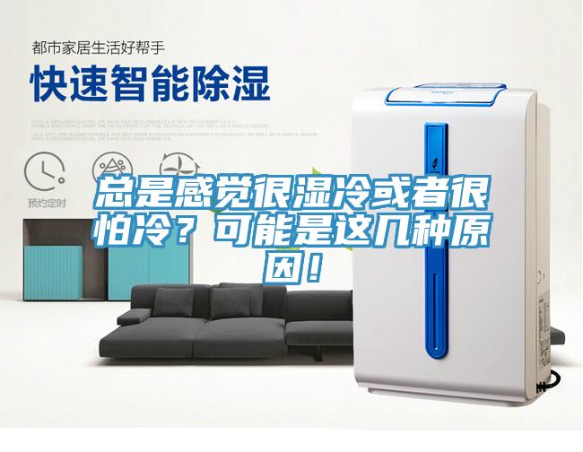 總是感覺很濕冷或者很怕冷？可能是這幾種原因！