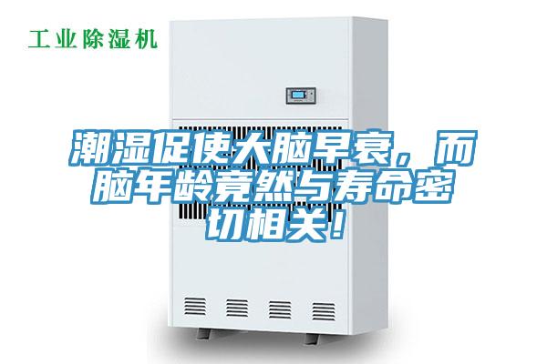 潮濕促使大腦早衰，而腦年齡竟然與壽命密切相關！