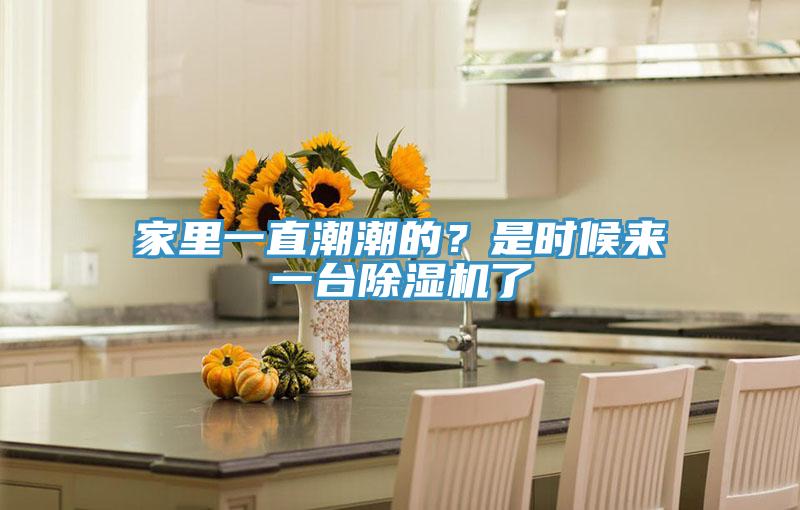 家裏一直潮潮的？是時候來一台91看片软件大全了