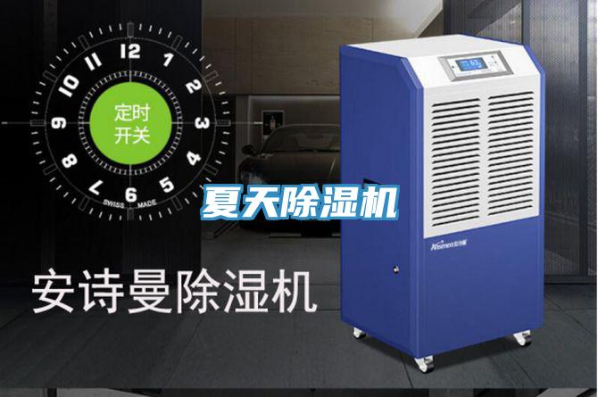 夏天91看片软件大全
