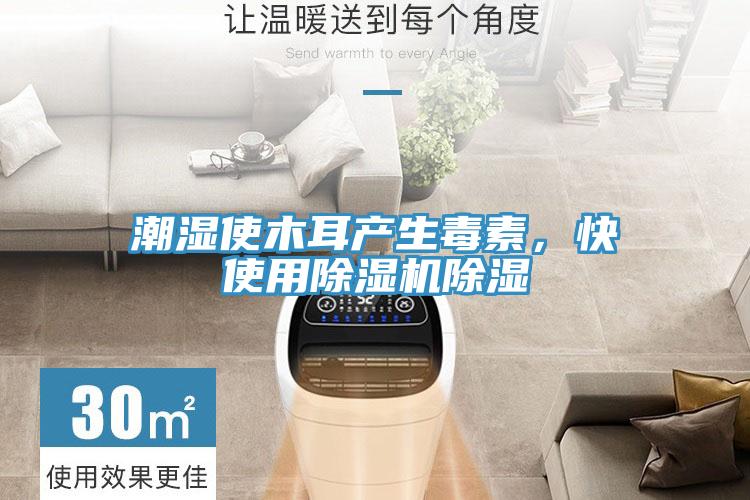 潮濕使木耳產生毒素，快使用91看片软件大全除濕