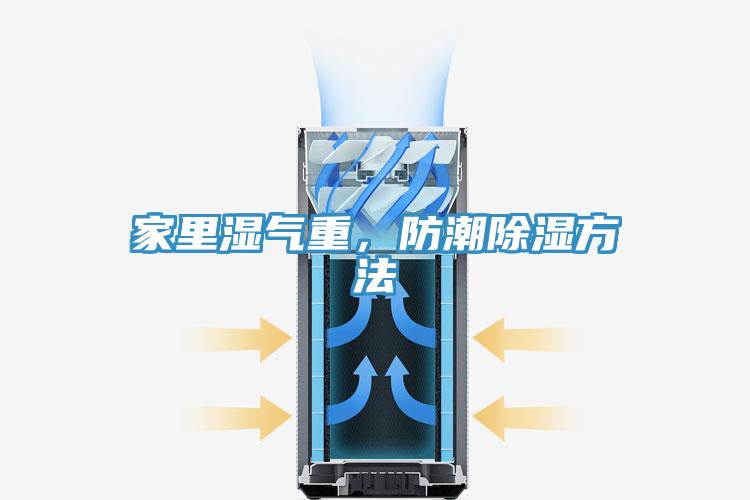 家裏濕氣重，防潮除濕方法