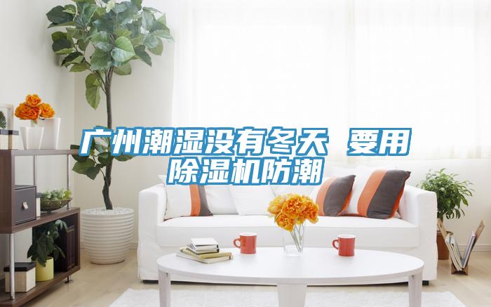 廣州潮濕沒有冬天 要用91看片软件大全防潮