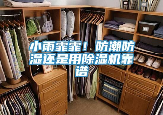 小雨霏霏！防潮防濕還是用91看片软件大全靠譜