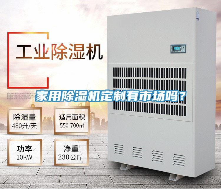 家用91看片软件大全定製有市場嗎？