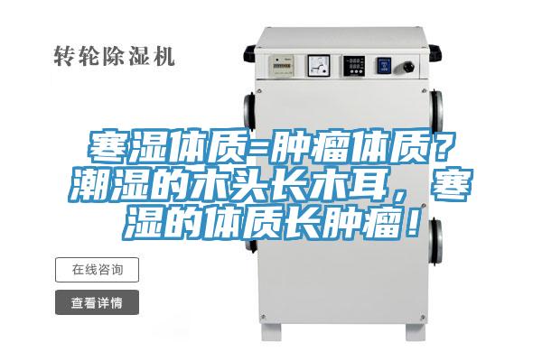 寒濕體質=腫瘤體質？潮濕的木頭長木耳，寒濕的體質長腫瘤！