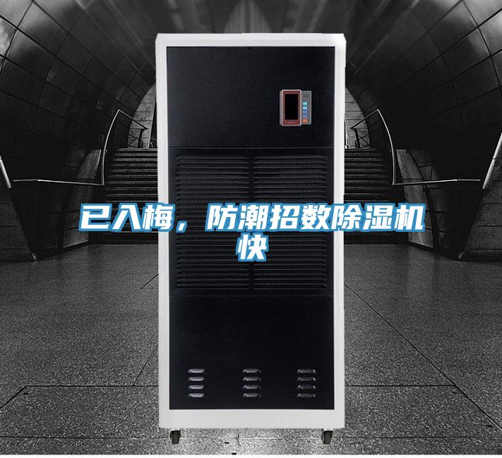 已入梅，防潮招數91看片软件大全快