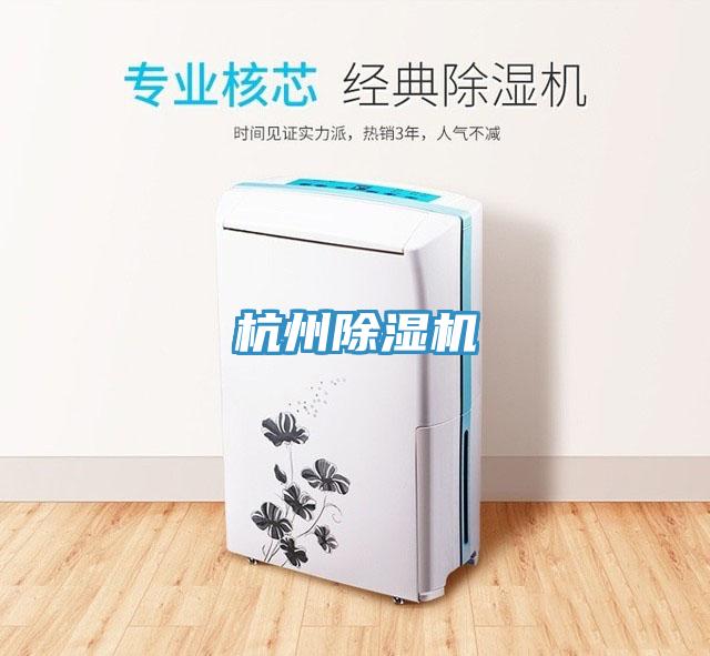 杭州91看片软件大全