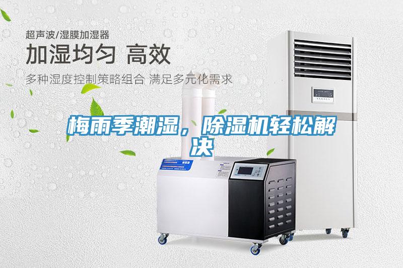 梅雨季潮濕，91看片软件大全輕鬆解決