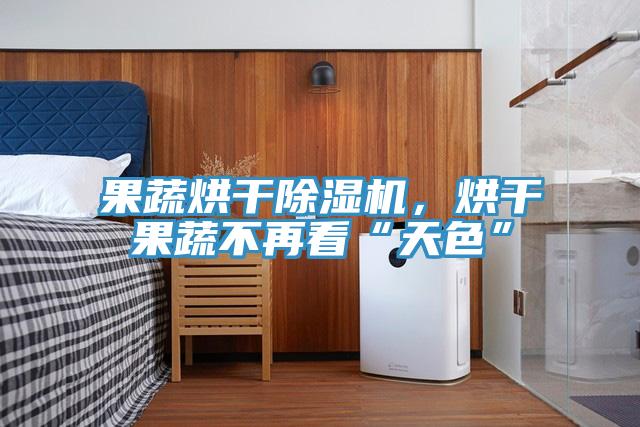 果蔬烘幹91看片软件大全，烘幹果蔬不再看“天色”