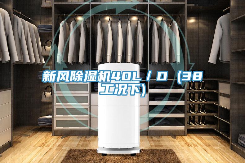 新風91看片软件大全40L／D (38工況下)