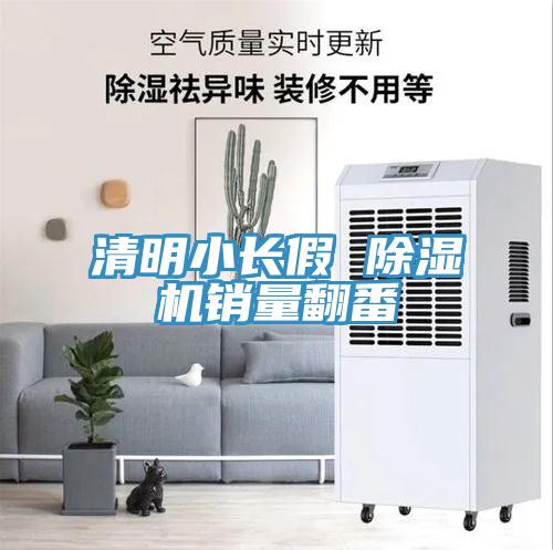 清明小長假 91看片软件大全銷量翻番