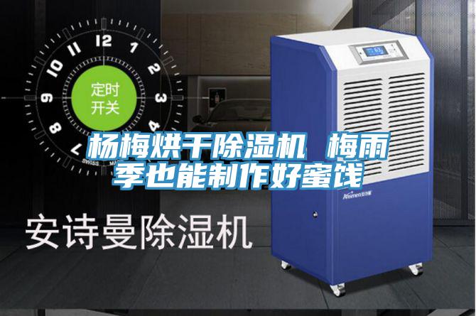 楊梅烘幹91看片软件大全 梅雨季也能製作好蜜餞