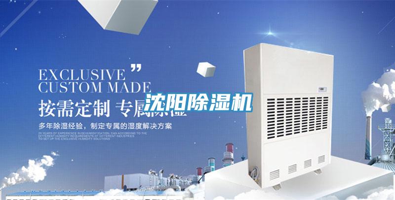 沈陽91看片软件大全