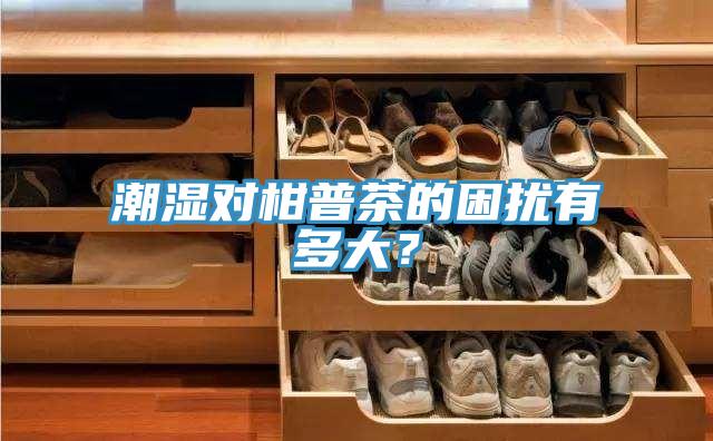 潮濕對柑普茶的困擾有多大？
