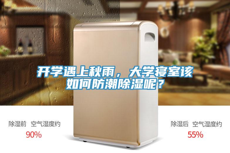 開學遇上秋雨，大學寢室該如何防潮除濕呢？