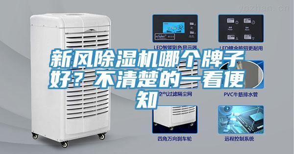 新風91看片软件大全哪個牌子好？不清楚的一看便知