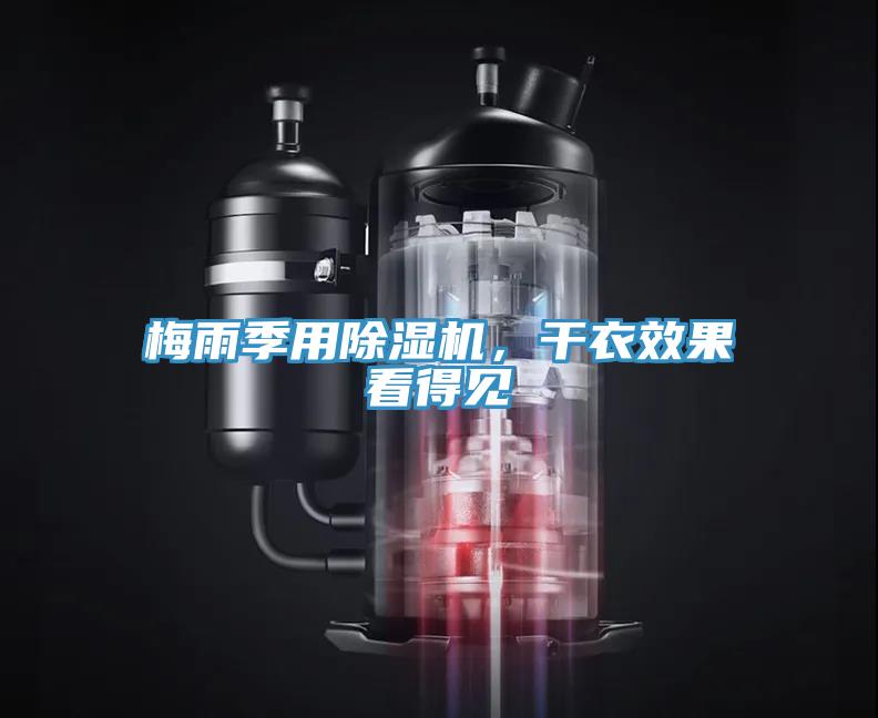 梅雨季用91看片软件大全，幹衣效果看得見