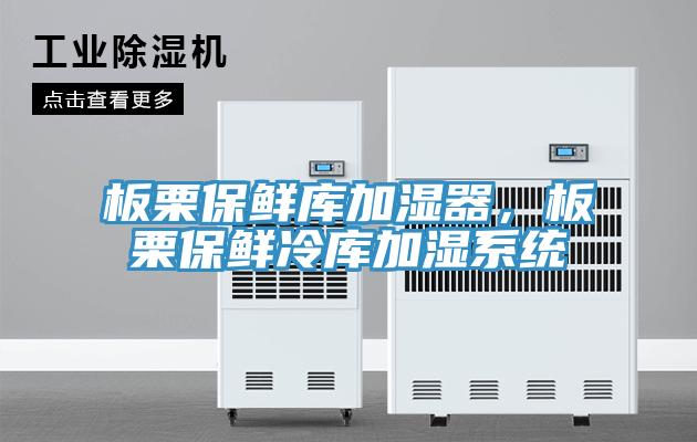 板栗保鮮庫加濕器，板栗保鮮冷庫加濕係統