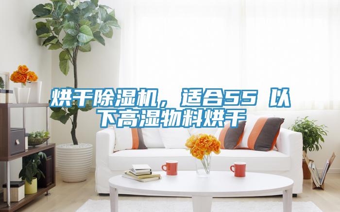 烘幹91看片软件大全，適合55℃以下高濕物料烘幹
