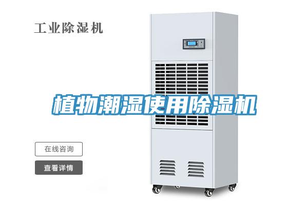 植物潮濕使用91看片软件大全