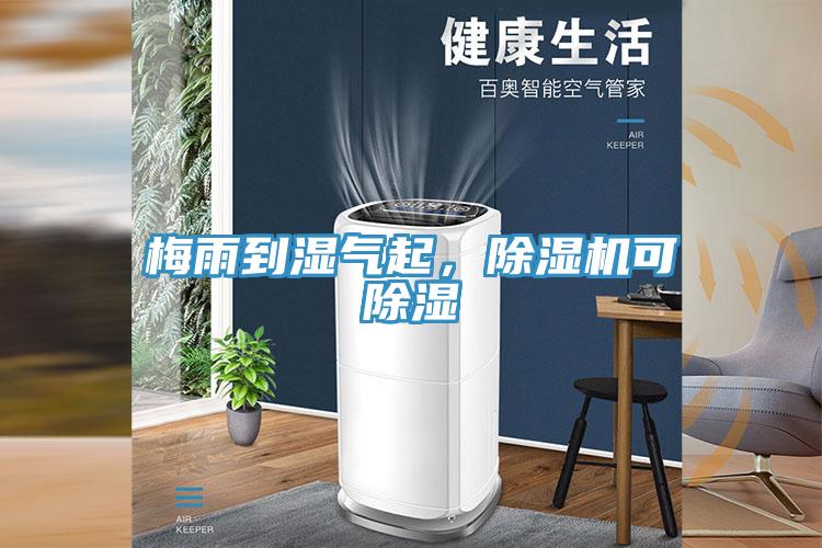 梅雨到濕氣起，91看片软件大全可除濕