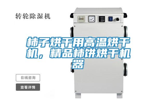 柿子烘幹用高溫烘幹機，精品柿餅烘幹機器
