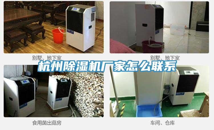 杭州91看片软件大全廠家怎麽聯係
