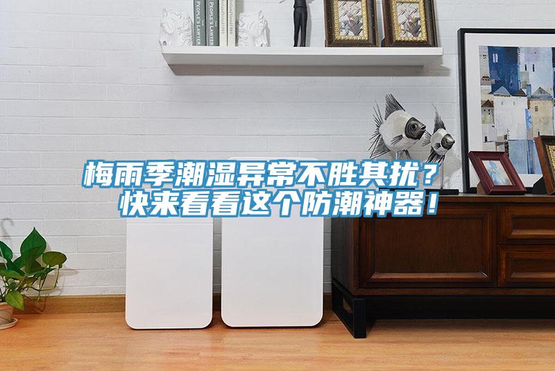梅雨季潮濕異常不勝其擾？ 快來看看這個防潮神器！