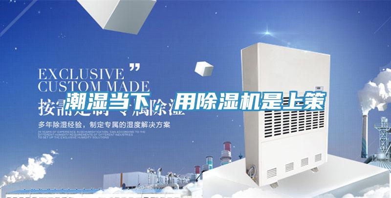 潮濕當下，用91看片软件大全是上策