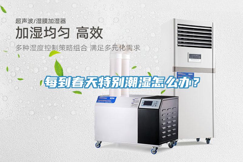 每到春天特別潮濕怎麽辦？