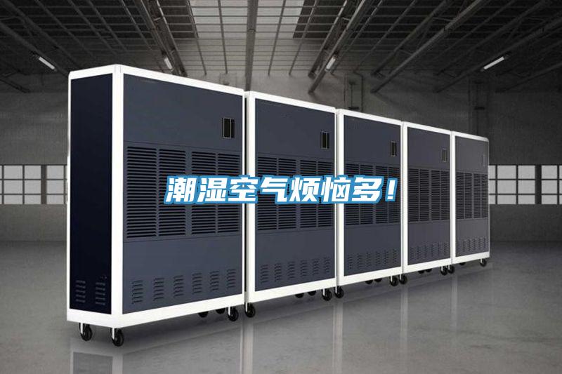 潮濕空氣煩惱多！